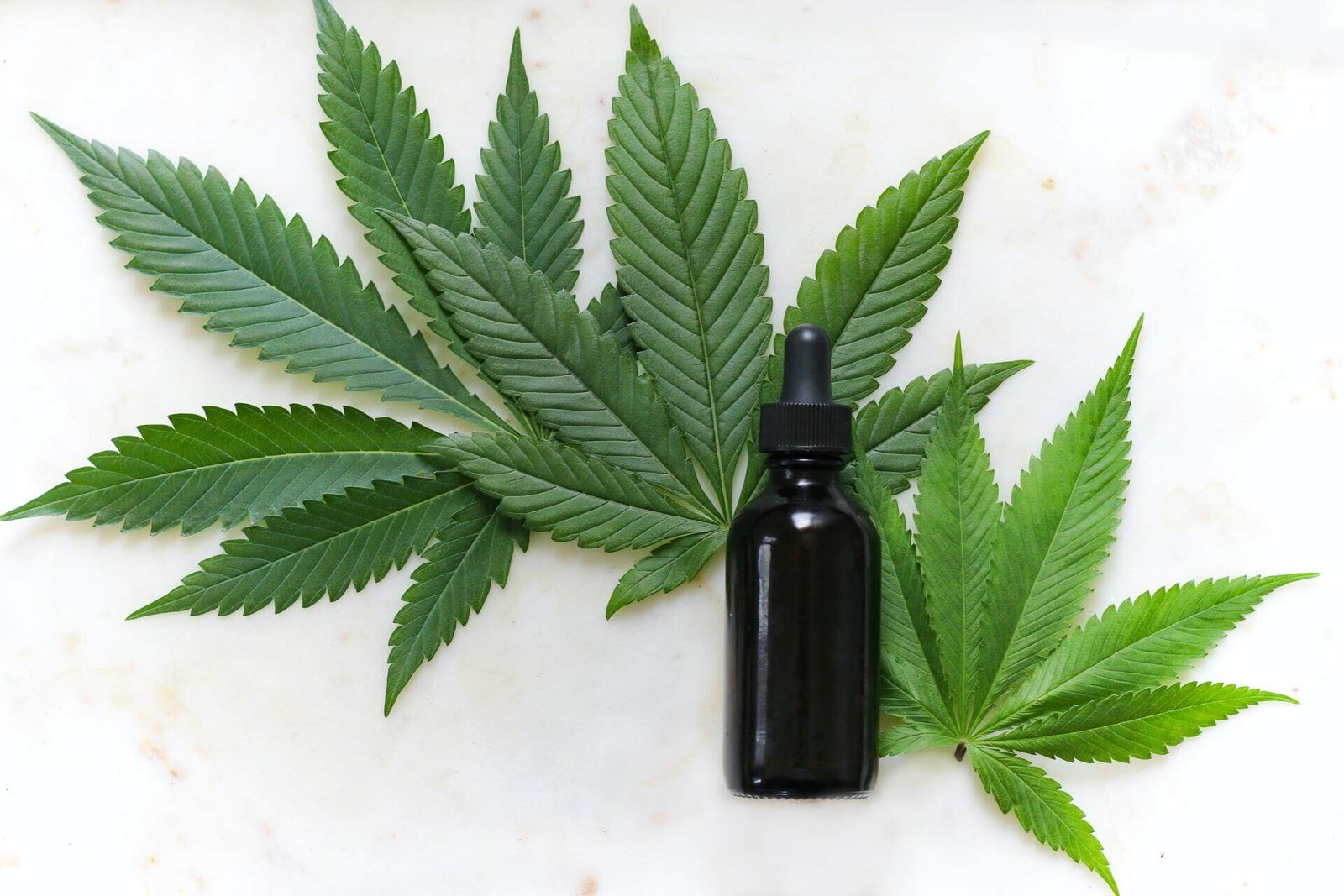¿Qué es el CBD? Preguntas frecuentes parte