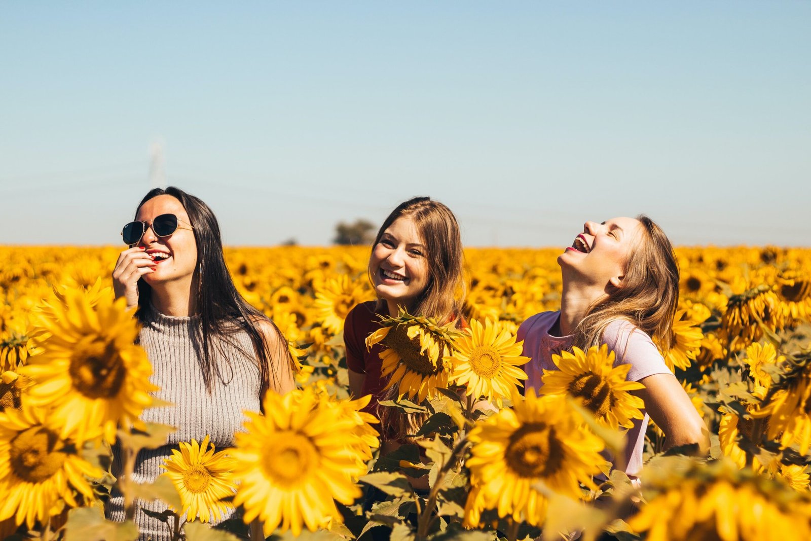 ¿Puede el CBD ayudarme a encontrar la felicidad?